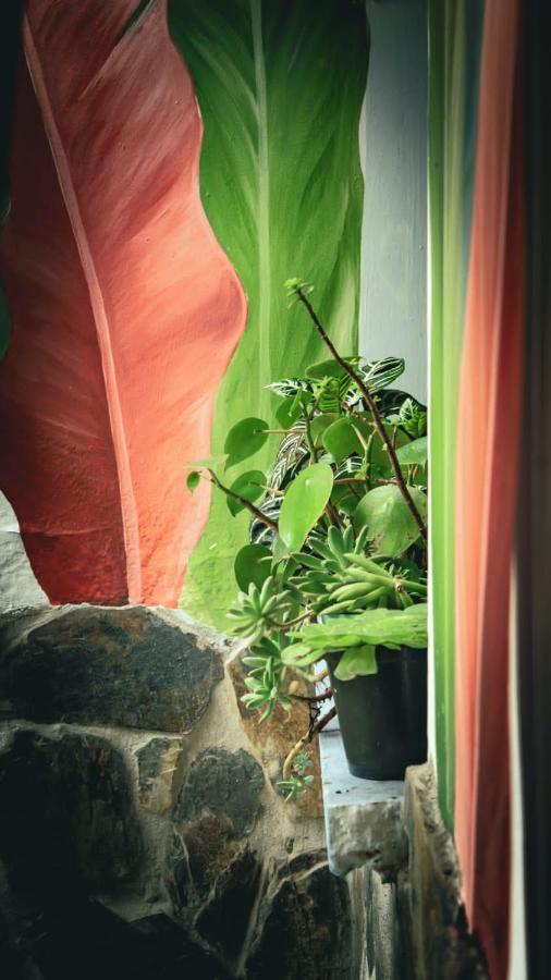 Acogedor Apartaestudio アルメニア エクステリア 写真